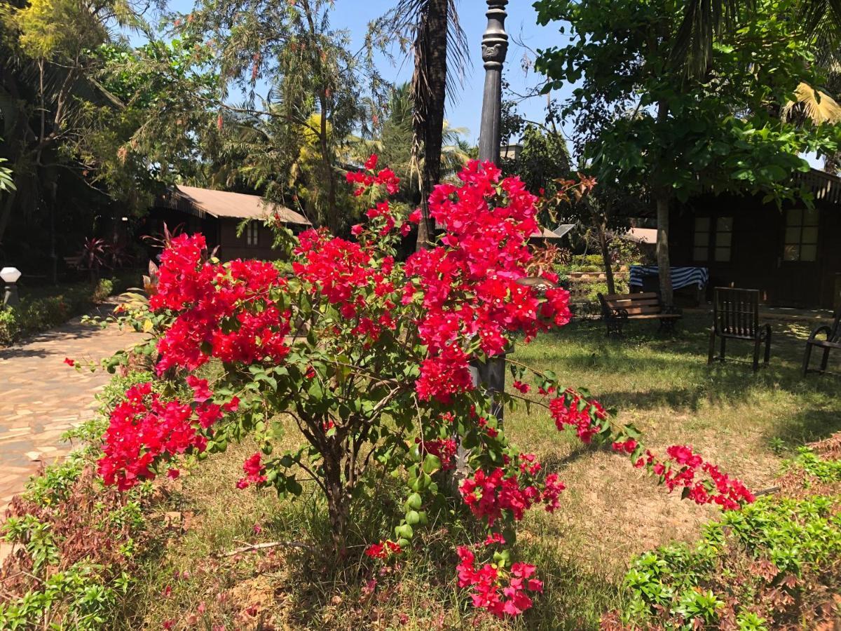 Resort Primo Bom Terra Verde Бага Екстер'єр фото