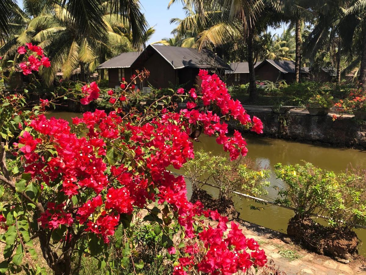 Resort Primo Bom Terra Verde Бага Екстер'єр фото